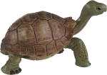 Wild Safari Wildlife Tierfigur Riesenschildkröte (Giant Tortoise) von Safari Ltd.